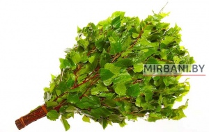 Веник березовый