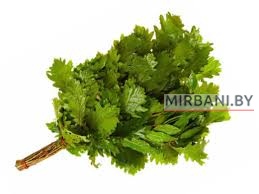 Веник дубовый